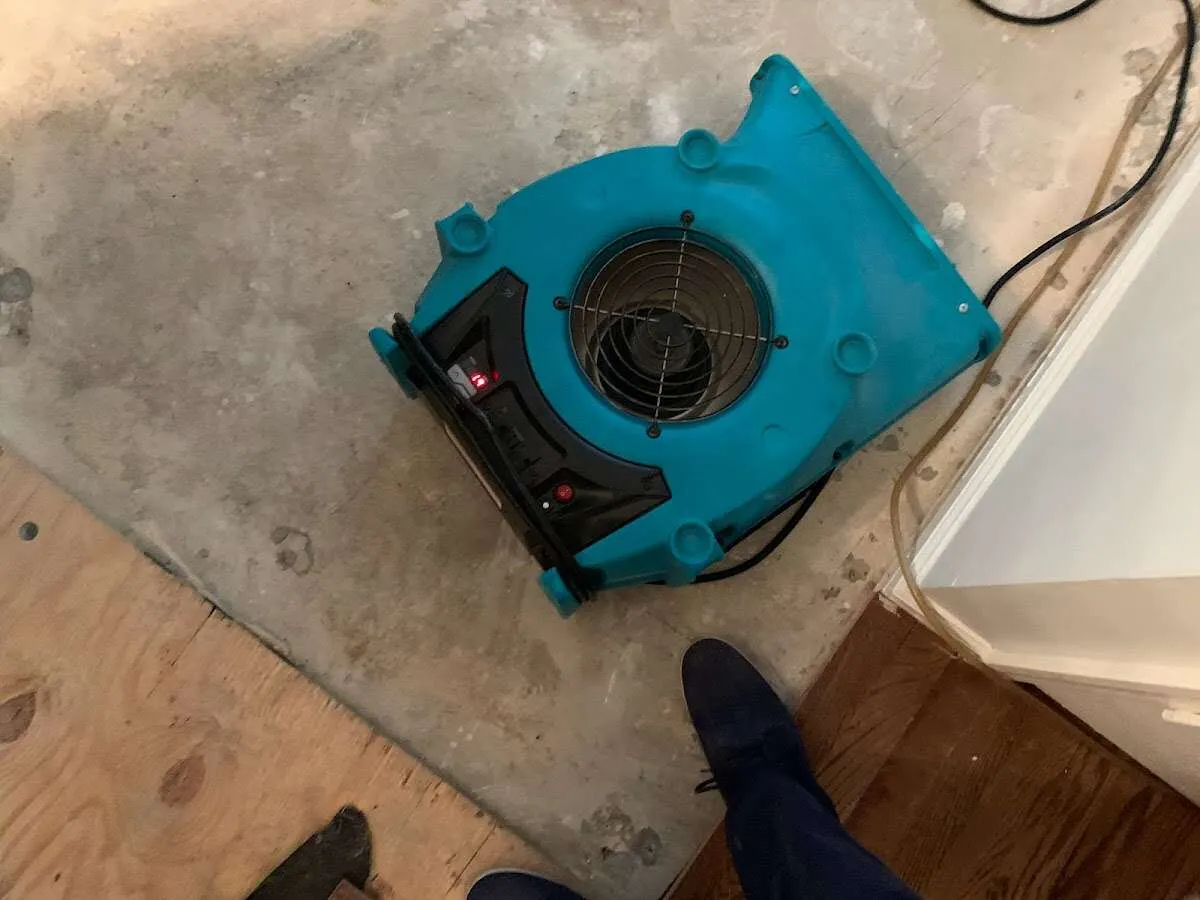 Air mover drying subfloor during Commercial Water Damage Restoration in Clarcona